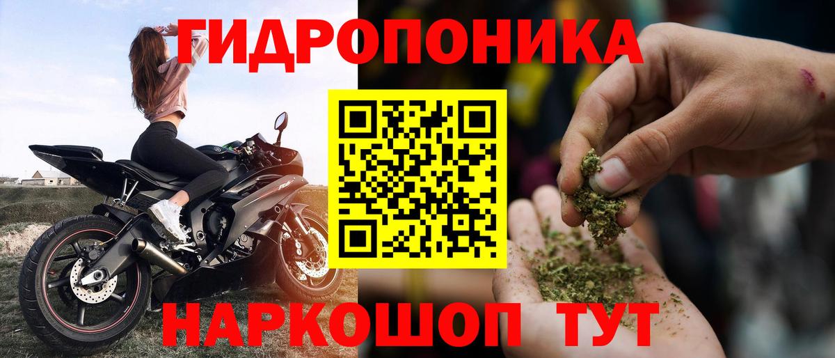 Заводоуковск  МАРИХУАНА SATIVA & INDICA  Каннабис VHQ  Вход с VPN 